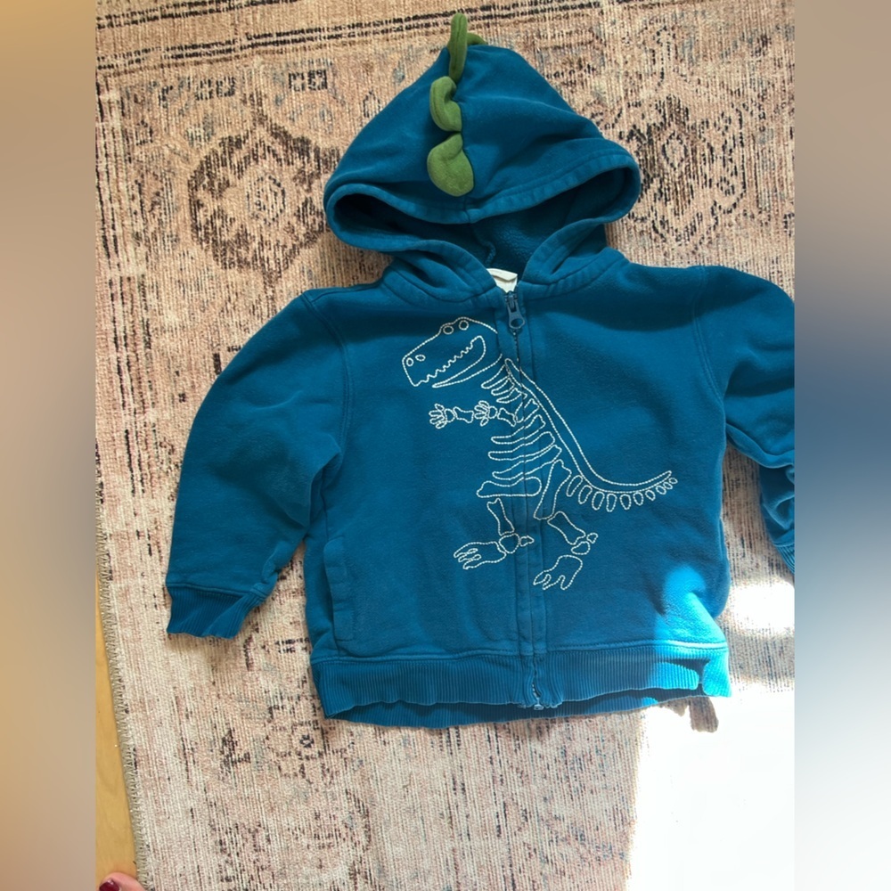 Crazy 8 Teal Dinosaur Hoodie for Kids